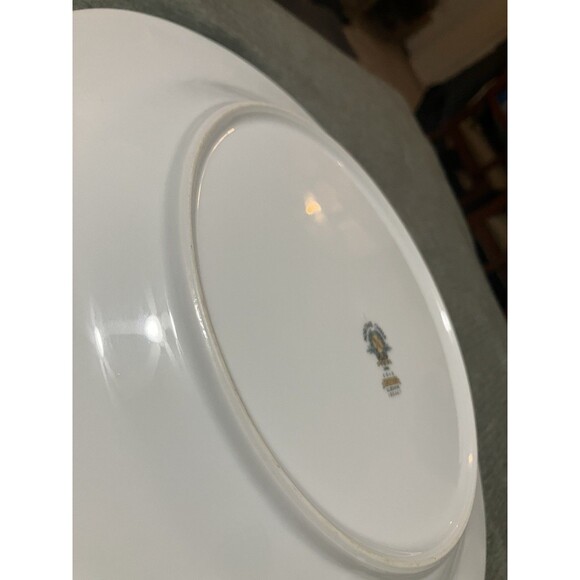 Rare set of two 10.5’ Croydon
by NORITAKE Plates Shabby Chic Plates-5908 pattern - Picture 12 of 13